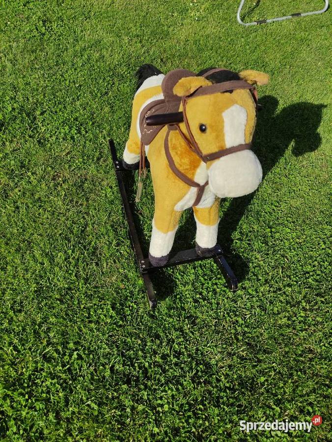 konik na biegunach lubelskie Lublin