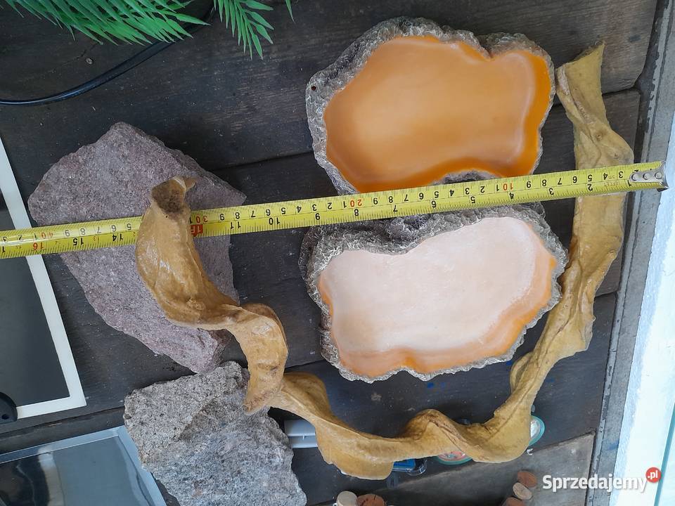 wyposażenie terrarium graty gada miseczki Warszawa