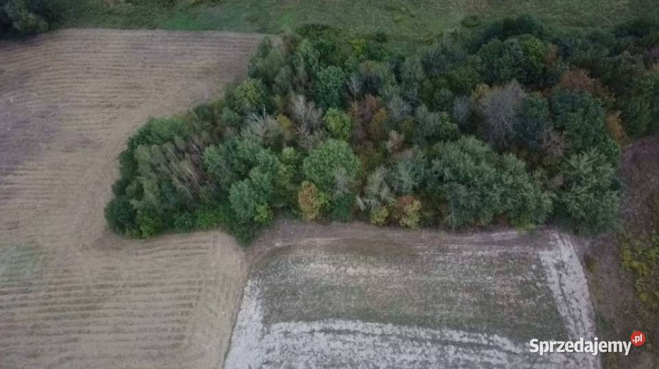 Syndyk sprzeda nieruchomość niezabudowaną pomorskie Gdańsk