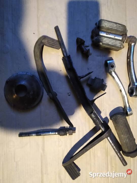 Żak ryś komar Pedał owiec pozostałość