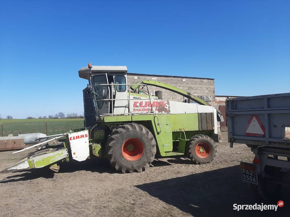 Sieczkarnia Claas jaguar 690 Wągrowiec