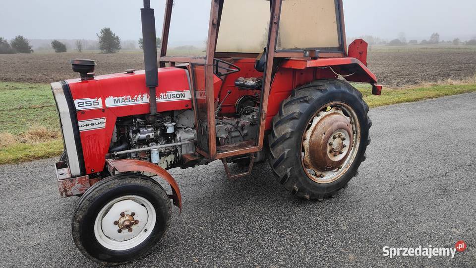 MF 255 Ursus 3512 Massey Ferguson mazowieckie Przytyk