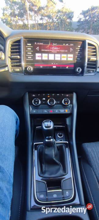 Skoda Karoq 2018 Salon 1 własciciel niski 89000km Solec Kujawski