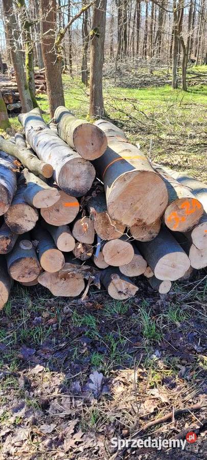 Drewno bukowe dębowe jesion brzoza Katowice sprzedam