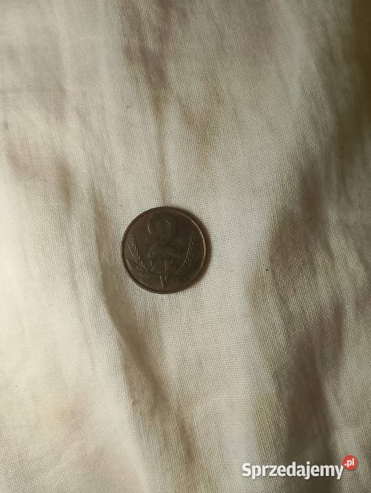 Monety pomorskie Czarna Woda