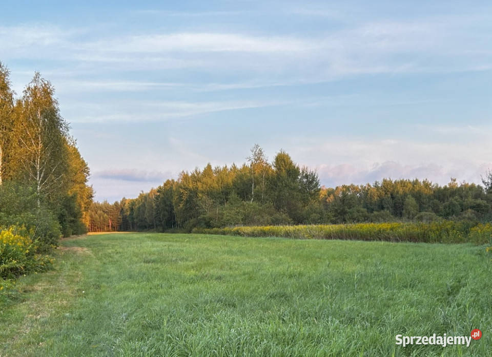 UROKLIWE MIEJSCE NATURY