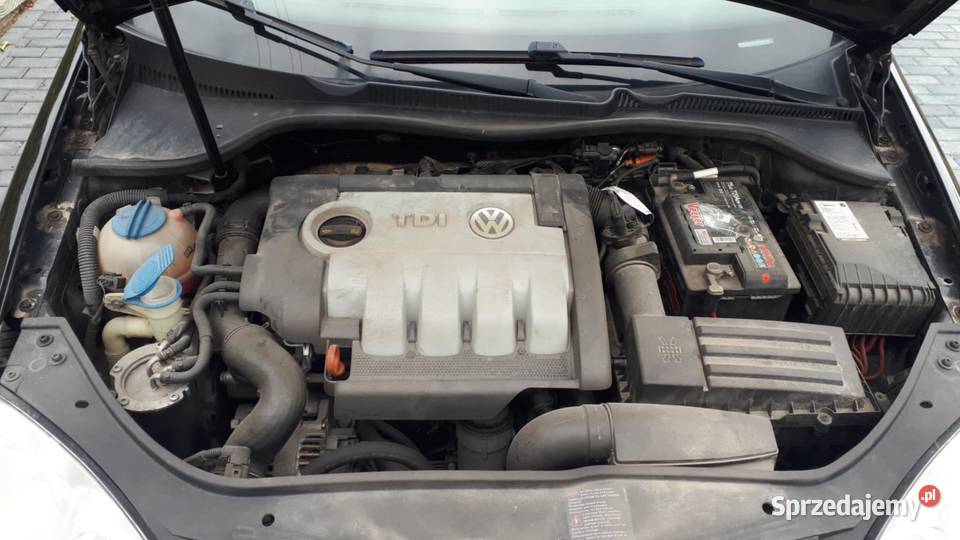 Volkswagen Golf 5 19 TDI 105 2007r Kielce