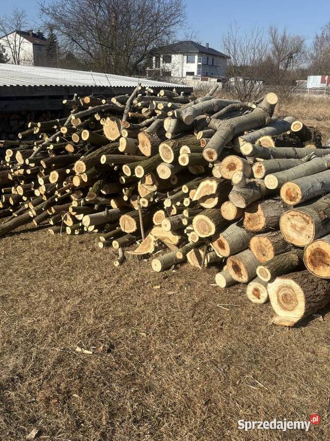 Sprzedam drewno opałowe akacja topola sprzedam
