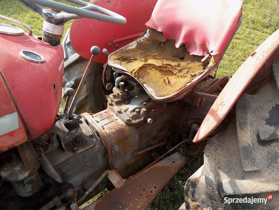 Ciągnik Massey Ferguson wielkopolskie Buk sprzedam