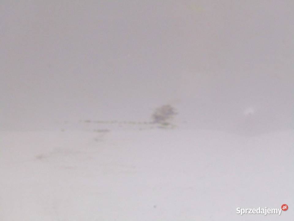 DRZWI TYLNE PRAWY TYŁ 070 TOYOTA PRIUS III LIFT