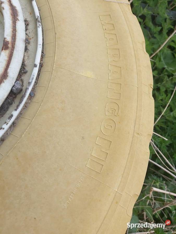 Koła pełne 120020 80 Eltor Solid Jabłonowo Pomorskie