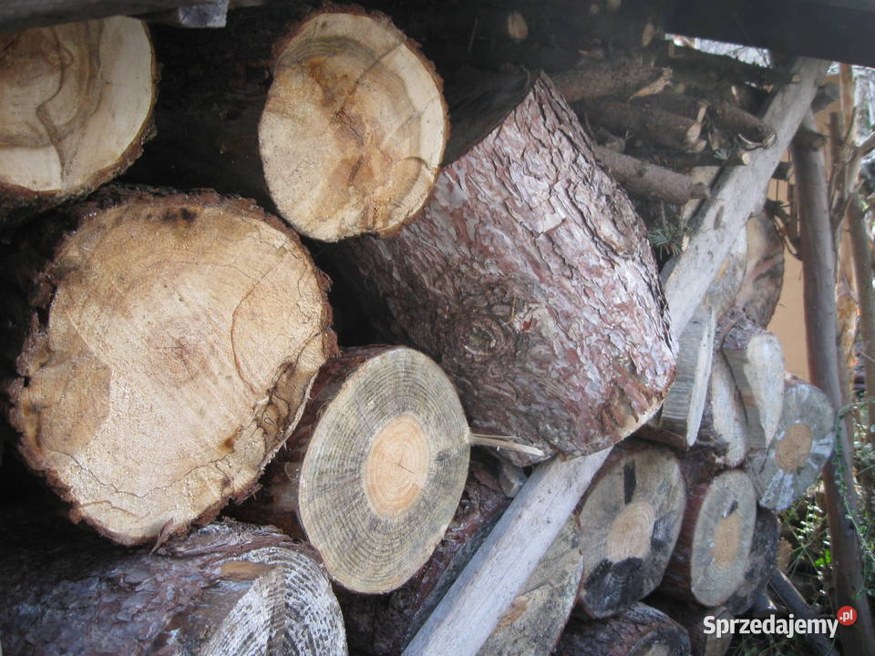 Sprzedam drewno sosnowe 23 m3 300 małopolskie Kraków