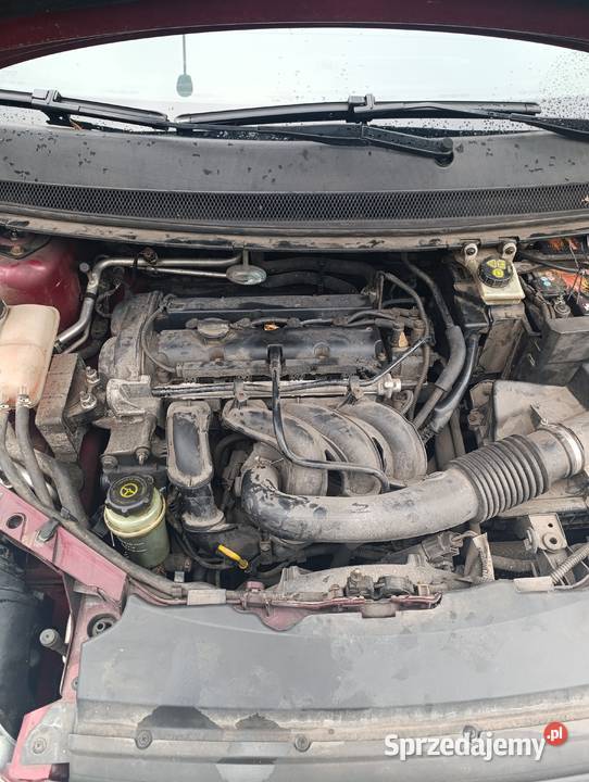 Ford Focus MK2 16b poduszka powietrzna Częstochowa sprzedam
