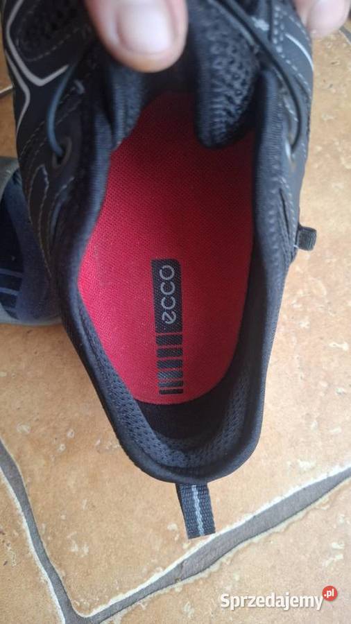 Buty trekkingowe ECCO Terracruise 45 Kłodzko