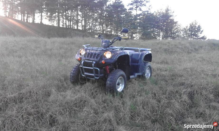 Sprzedam Quada zipp 4 cross 200 ZAREJESTROWANY automatyczna wielkopolskie Jastrowie