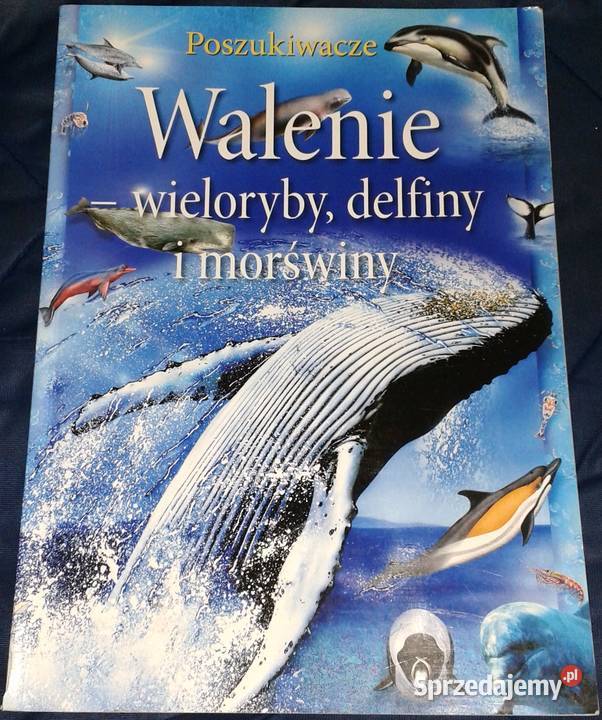 Walenie wieloryby delfiny i morświny L Beckelman Rok wydania 2012 Chełm sprzedam