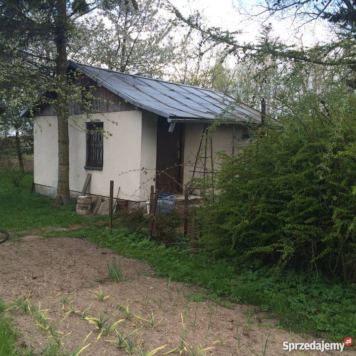 Działka ogrodnicza Ogrod Dzialkowy FERMSTAL pomorskie Pruszcz Gdański