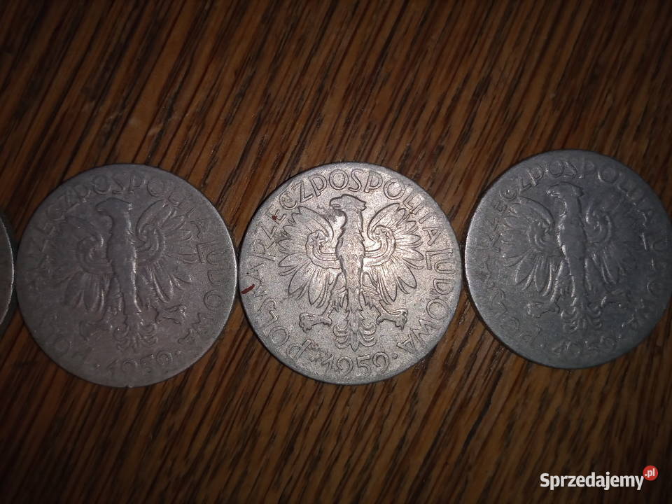 Pięć złotych rybak podkarpackie Leżajsk