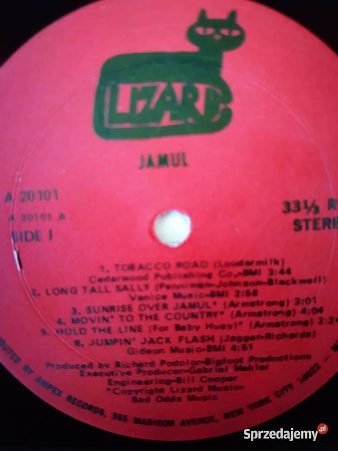 Biały kruk na czarnym winylu JAMUL Lizard1970 Płyty i kasety Rzeszów