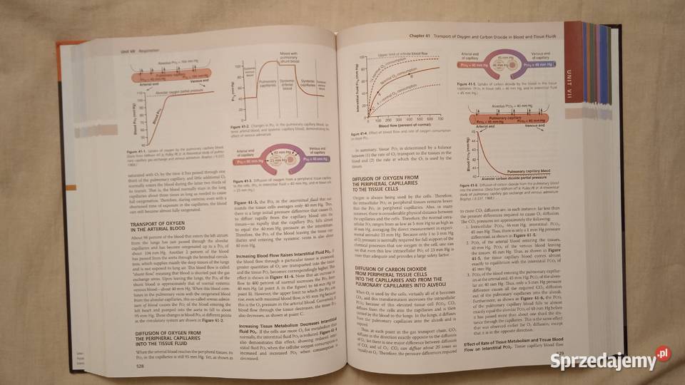 Medical Physiology Guyton and Hall Rok wydania 2016 Warszawa