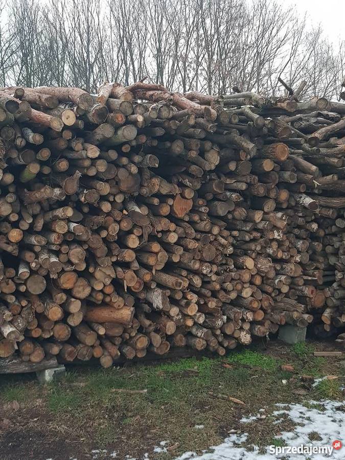 Drewno miesane wielkopolskie Wągrowiec