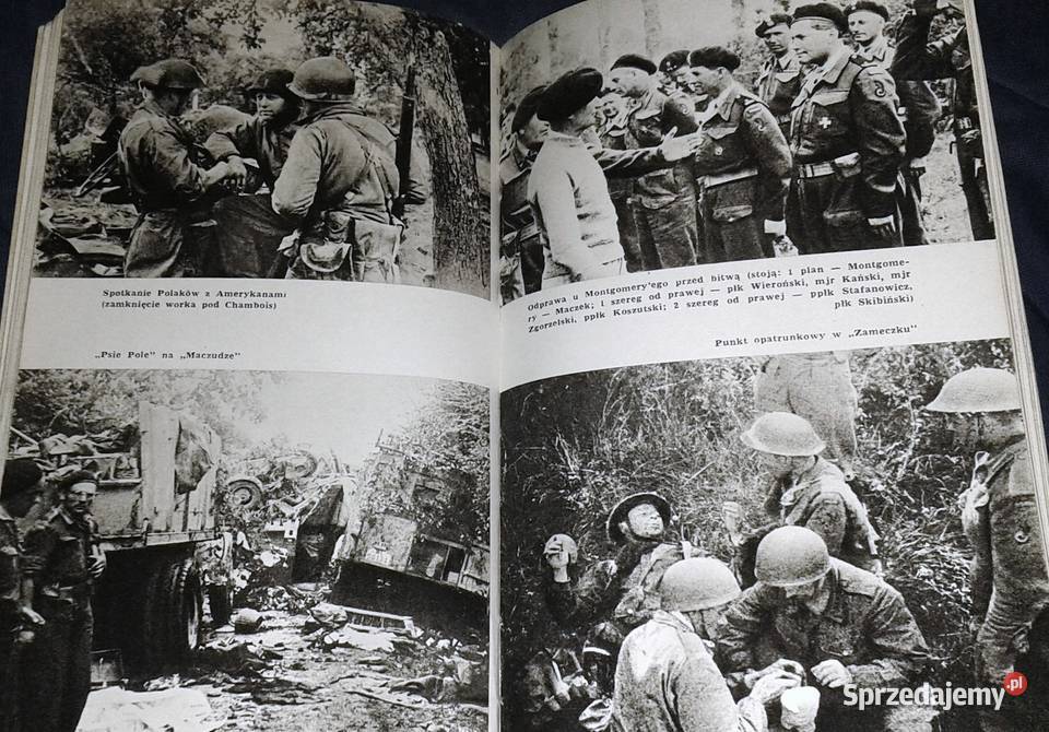 Falaise Franciszek Skibiński miękka lubelskie Chełm