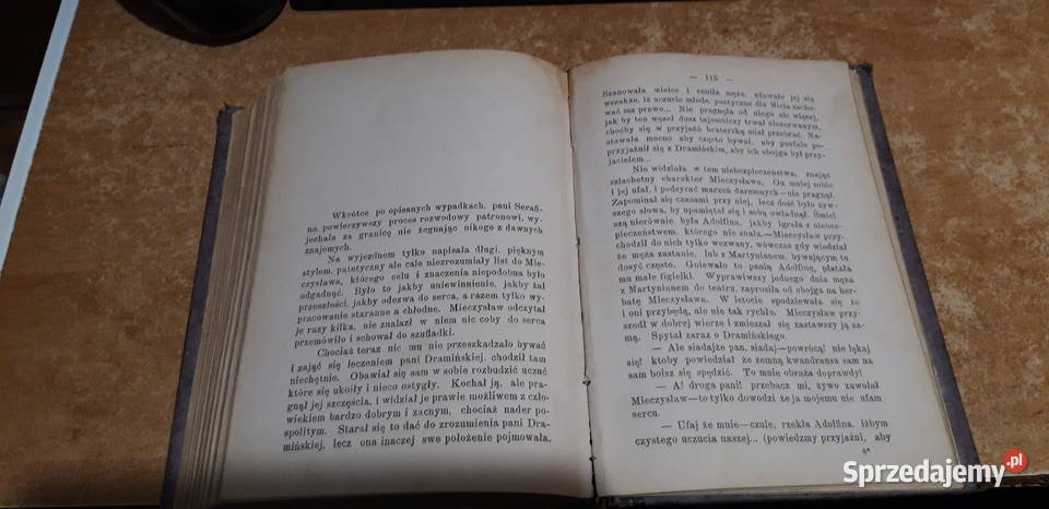 Sieroce Dole T13Kraszewski Warszawa 1886 wyd2 Iwno sprzedam