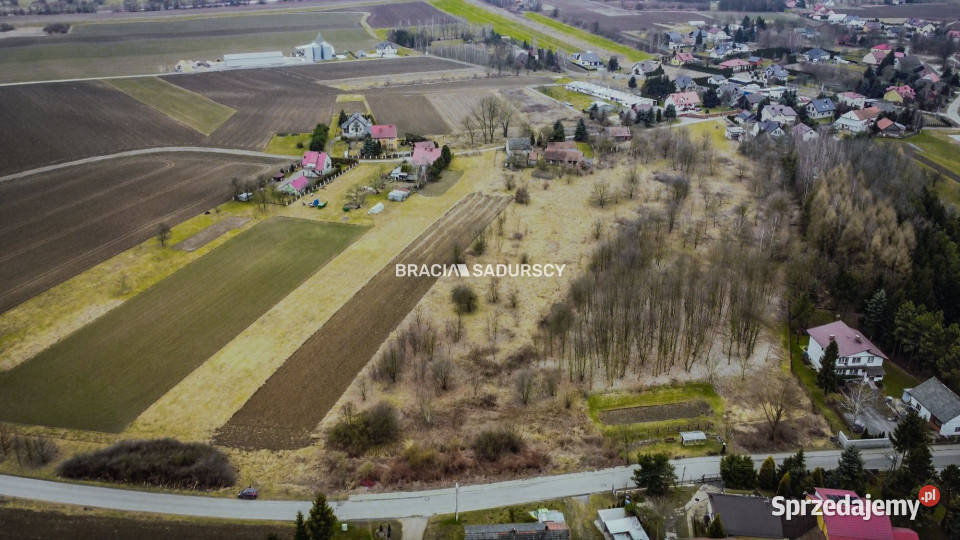 Grunt 7000m2 Wołowice sprzedam