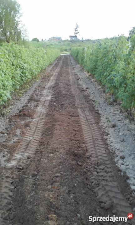 Drenacje melioracje nawonienia konstrukcje Pozostałe usługi Warka