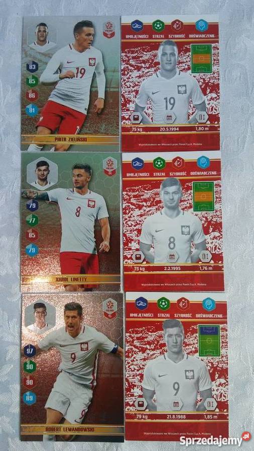karty dumni z naszych 2018 biedronka Lewandowski Giżycko