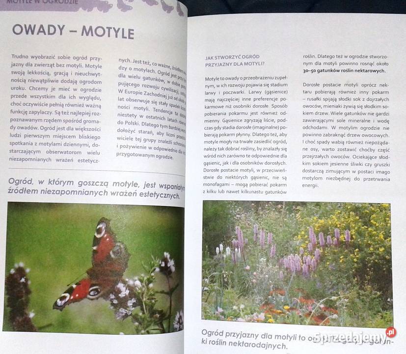 Ogród ostoja zwierząt J Niewolewska Sadownik K Pozostałe Chełm