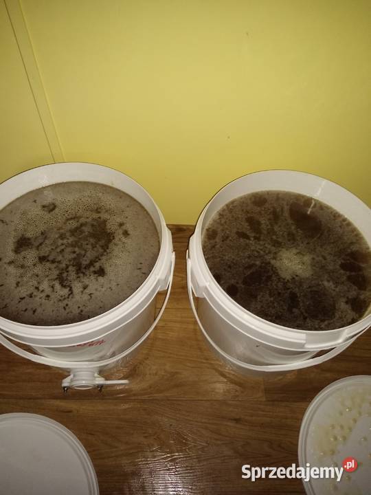 Pszczoły ule odkłady pszczele 2024 Bursztynowa Pozostałe Mniszków sprzedam