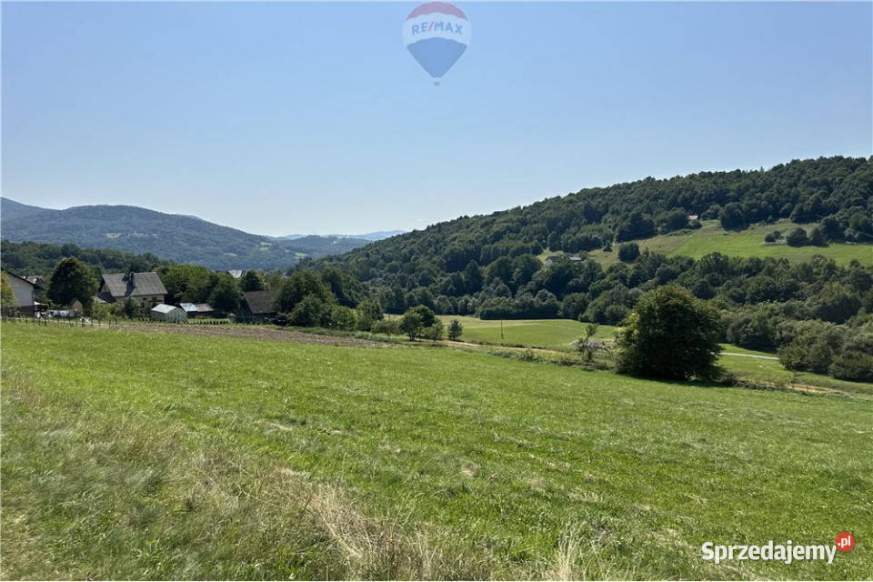Grunty 5 400 m widok las i działka z WZ małopolskie Młynne