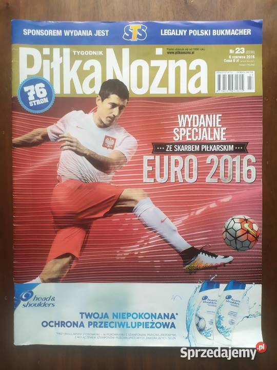 Skarb kibica Euro 2016