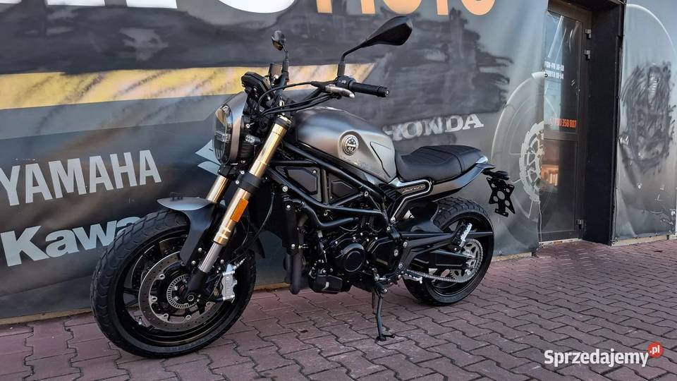 Benelli Leoncino 2022