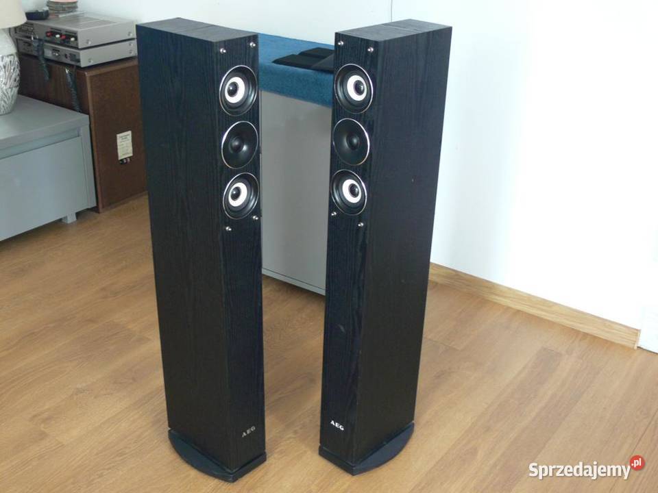 Niemieckie kolumny AEG 2 x 480 wat DOSTAWA Jasło