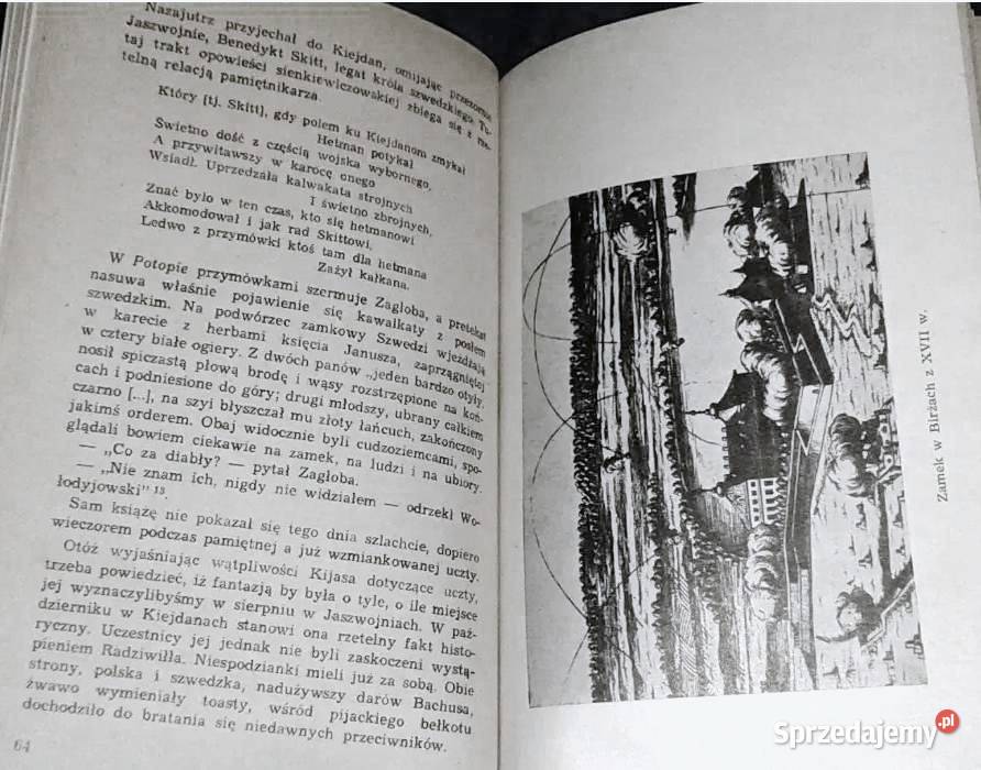 sierotki do rybeńki W kręgu radziwiłłowskiego Chełm