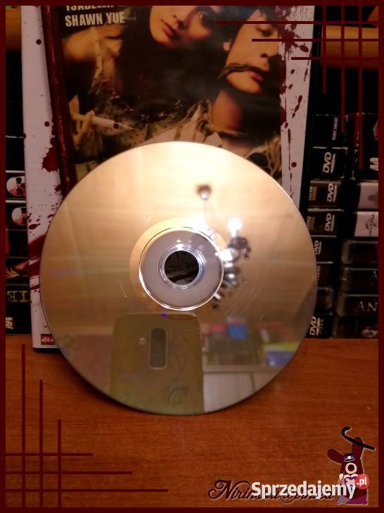 Dziennik Zbrodni film dvd Bracia Pang arcydzieło Ruda Śląska