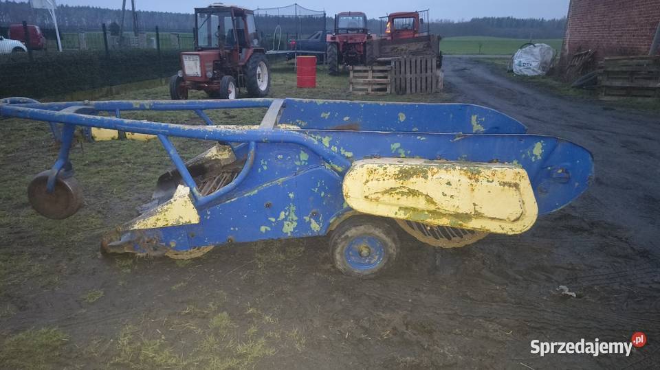 Kopaczka elewatorowa Wągrowiec