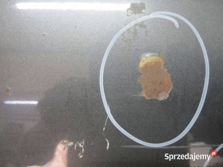 AUDI A4 B7 III 07r maska 50 mikronów Kielce