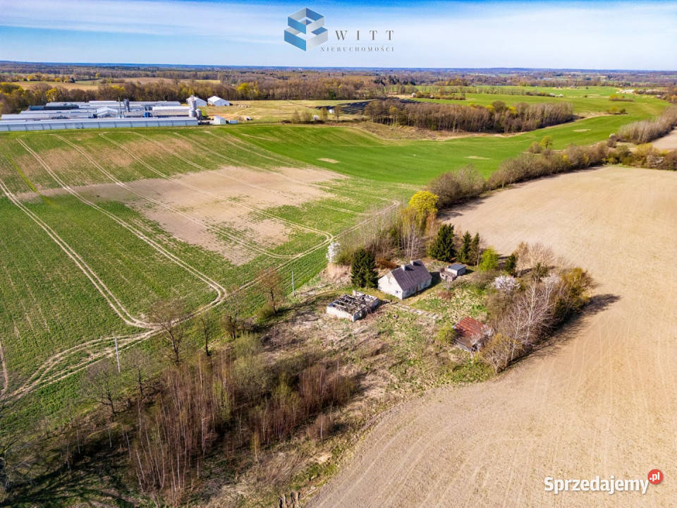 sprzedaży działki Leszczynka Mała 5000m2