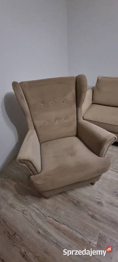 Fotel Uszatek z Bodzio Meble Fotele Bydgoszcz