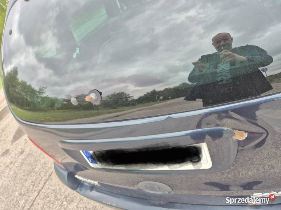 Sprzedam Renault Scenic Skopanie