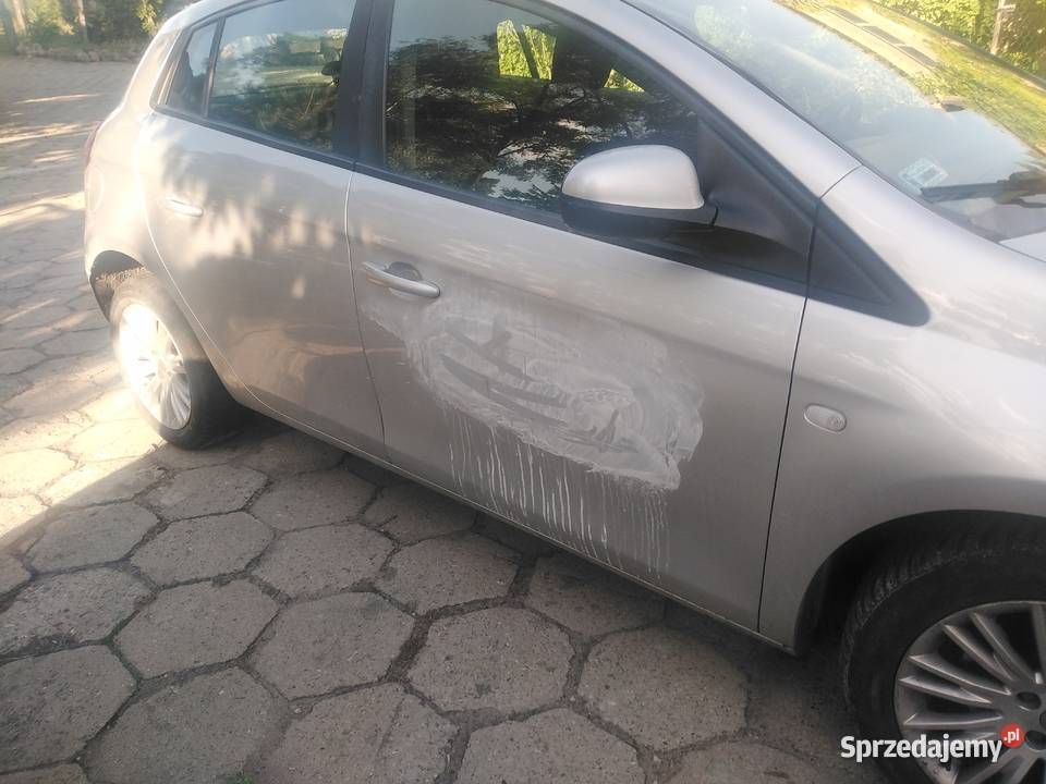 Fiat Bravo Strzelno
