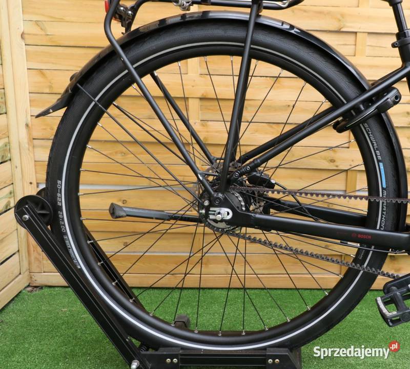 Rower elektryczny Diamant Beryll D 45 Na pasku