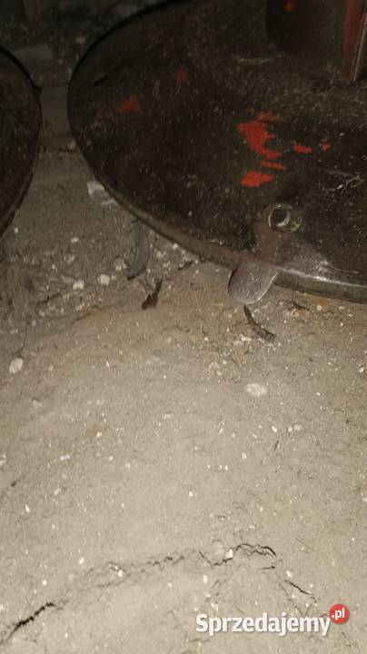 Sprzedam kosiarkę rotacyjna marki Lisicki 178 Łowicz sprzedam