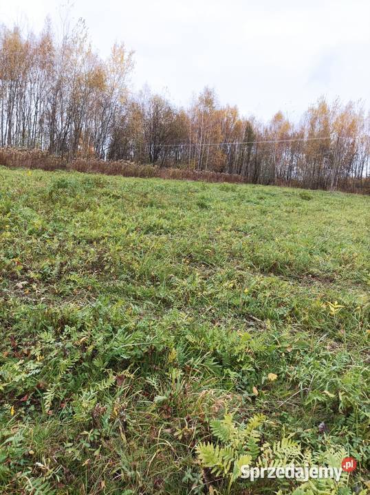 Sprzedam działkę w Hermanowej 20a Hermanowa sprzedam