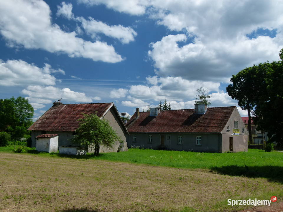Mazury Dom 059000 ha 325000 Żabin