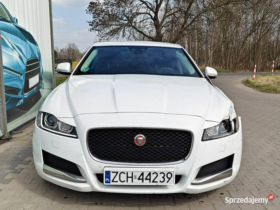 Jaguar XF X260 2015 163KM Karczew