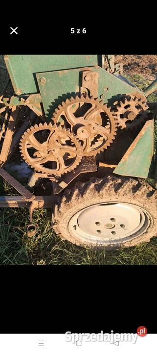 Sprzedam siewnik Poznaniak amazone Piotrków Trybunalski